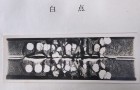 断口一览