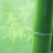 论坛技术专家组