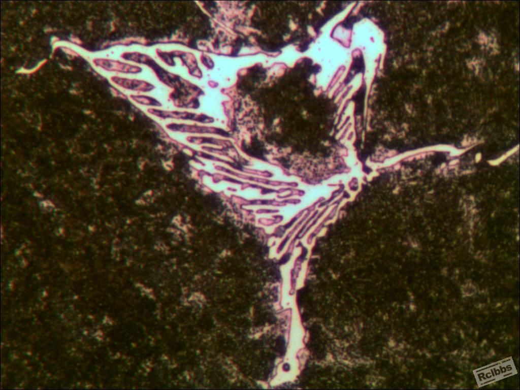 精致的碳化物液析金相照片