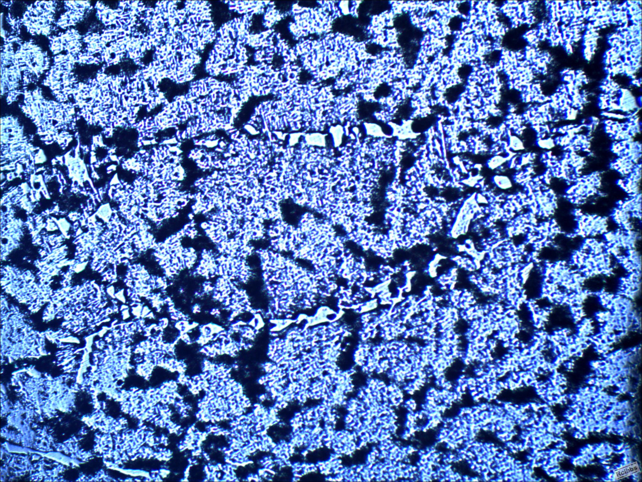铸态亚共析钢原奥氏体晶界的显示