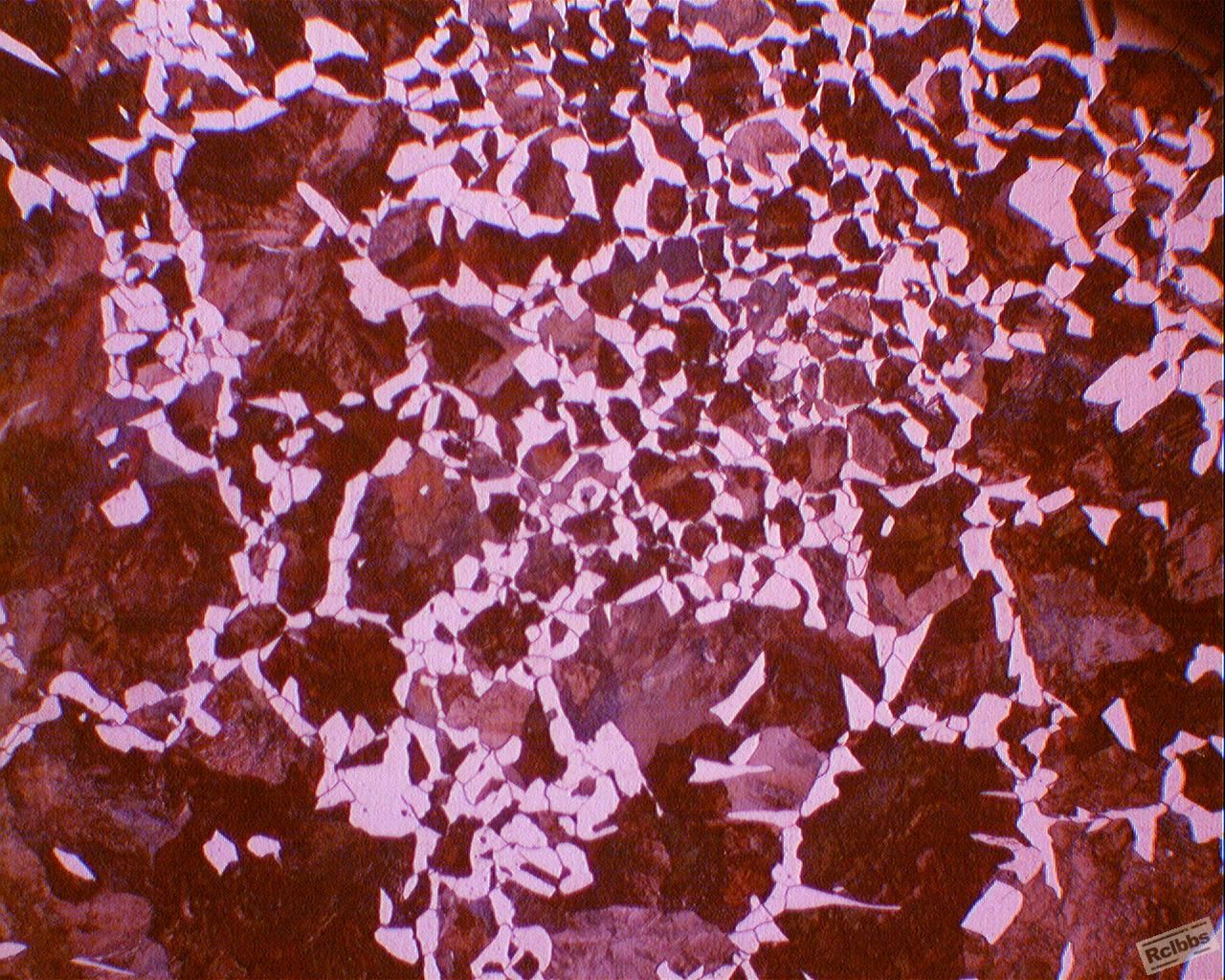 看一下这个45钢的金相