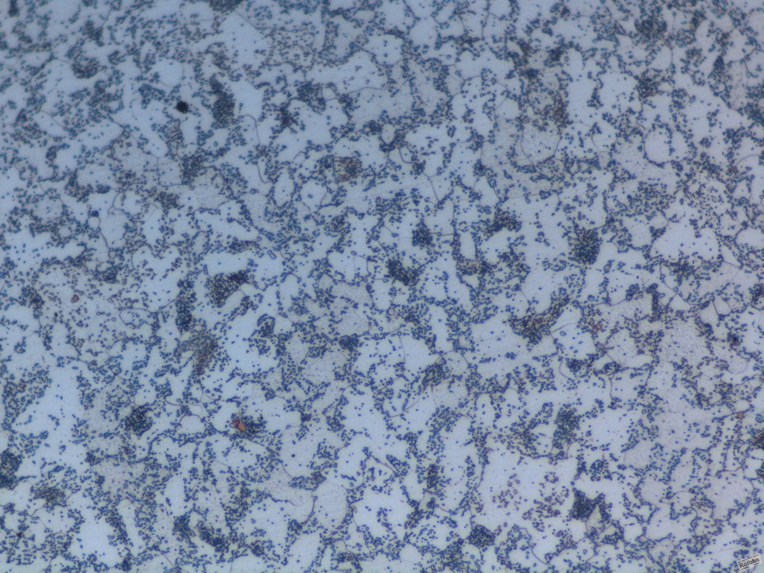 球化退火的组织区别 - 热处理质量控制 - 热处理论