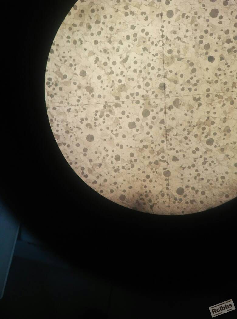 球墨铸铁金相制样 急急急!