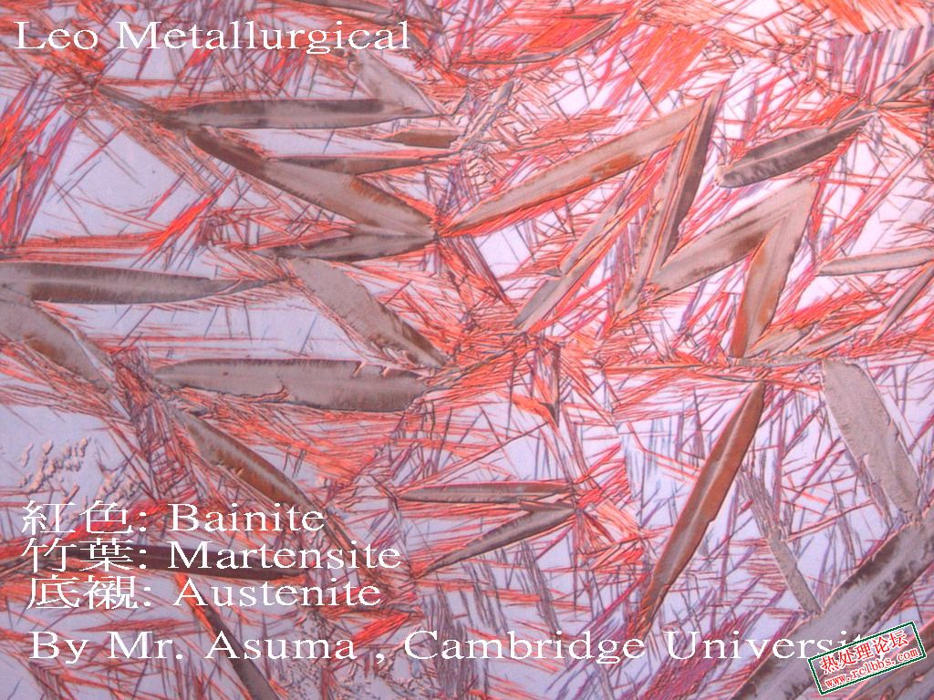 转贴一张彩色的 m b a 金相照片 martensite   bainite   austenite