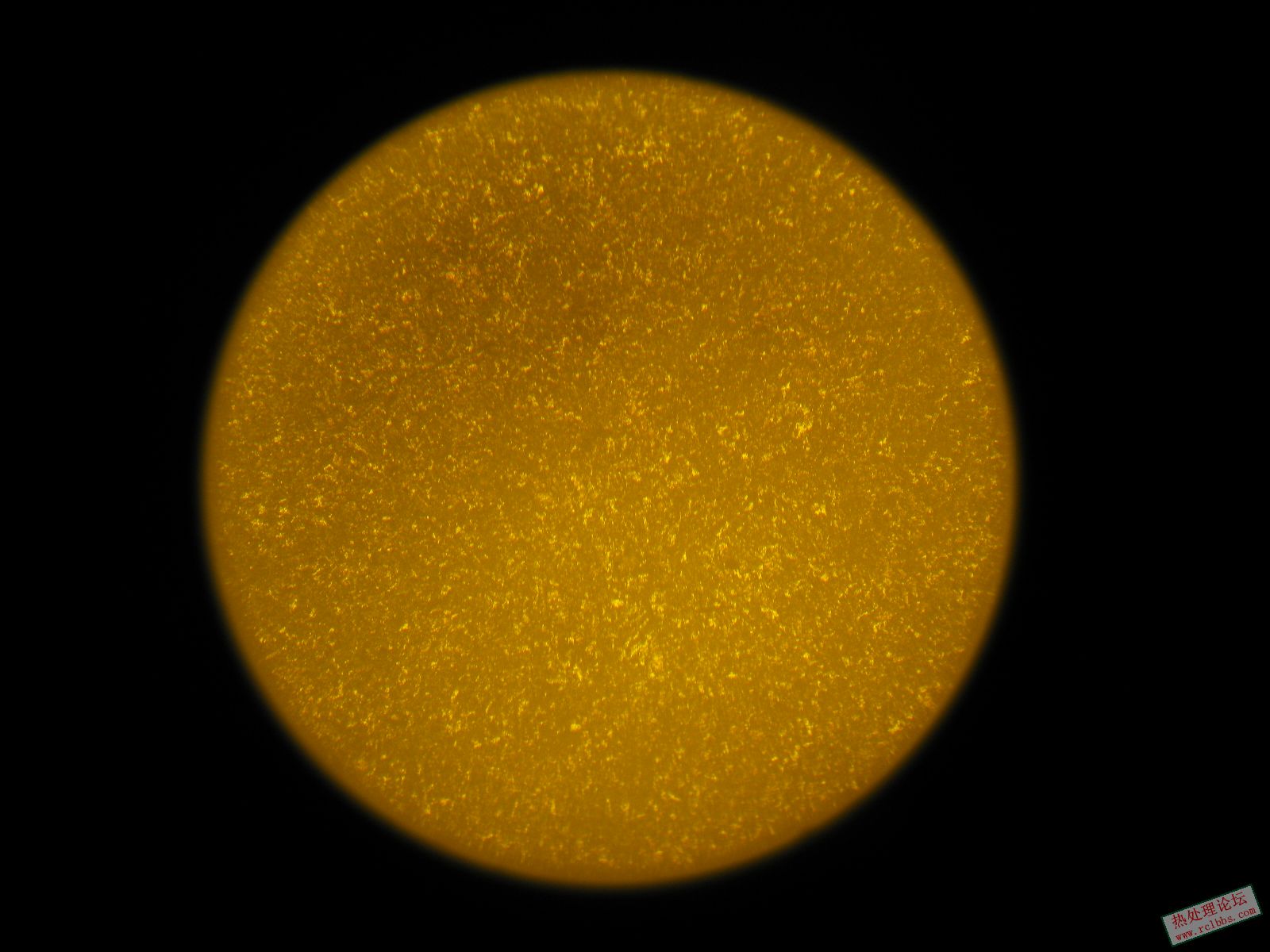 帮我看看45钢组织晶粒度太低,好像过烧了.