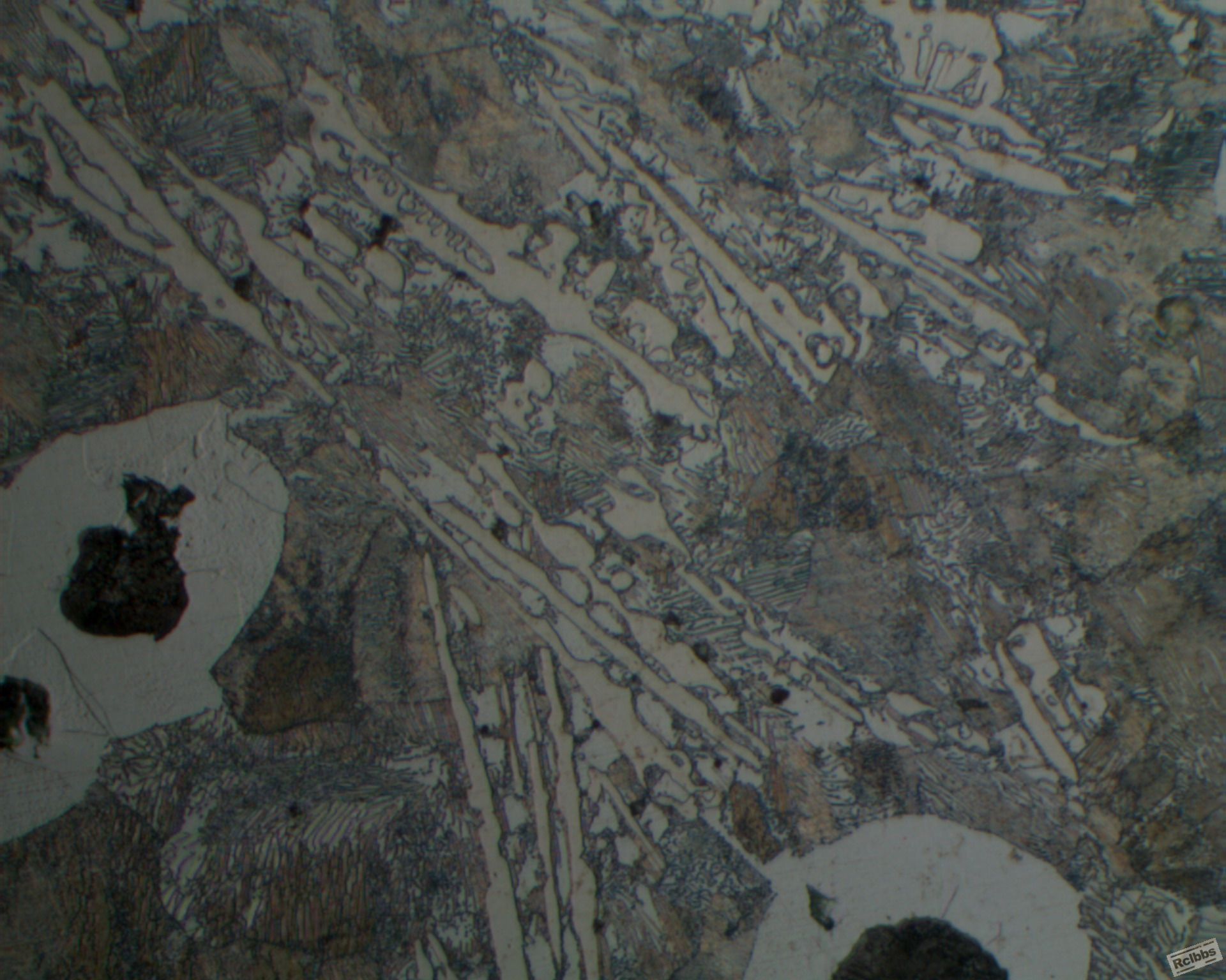 球墨铸铁金相组织